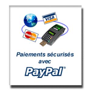 paypal  